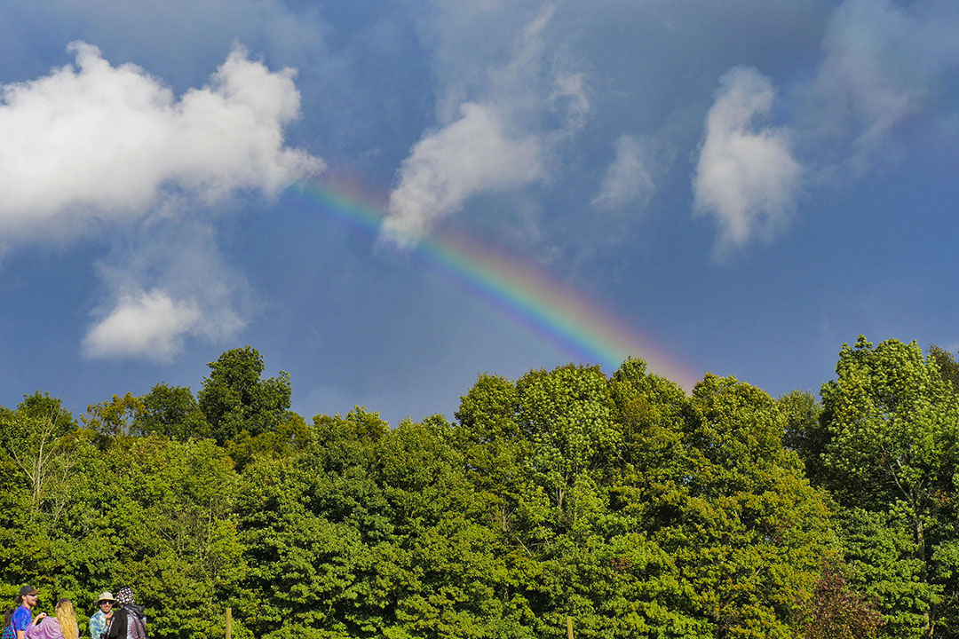 rainbow